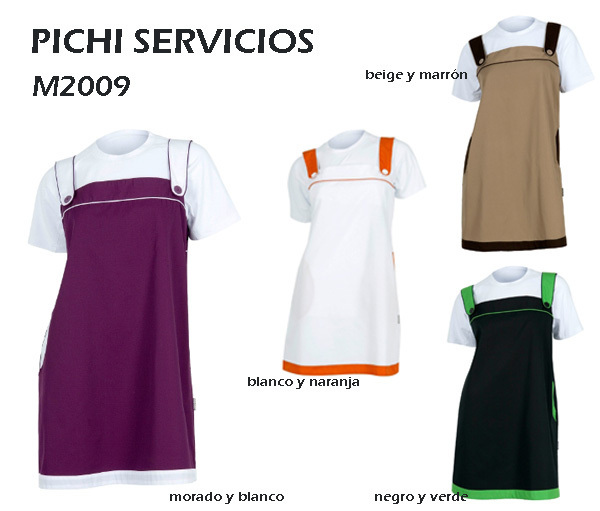 PICHI SERVICIOS COMBI M2009