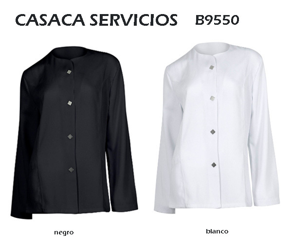 CASACA SERVICIOS B9550